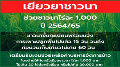 "ชาวนา" เตรียมรับเงินเยียวยา ไร่ละ 1,000 บาทเดือน พ.ย. นี้