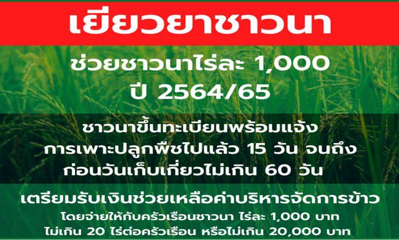 "ชาวนา" เตรียมรับเงินเยียวยา ไร่ละ 1,000 บาทเดือน พ.ย. นี้