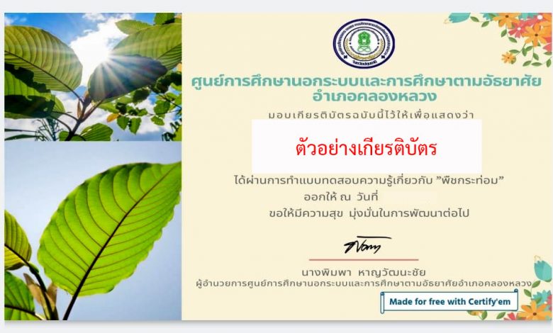 แบบทดสอบออนไลน์ เรื่อง “พืชกระท่อม” ผ่านเกณฑ์รับเกียรติบัตรทาง E-mail