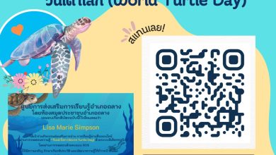 แบบทดสอบออนไลน์ เรื่อง " 23 พฤษภาคม วันเต่าโลก  (World Turtle Day) " จัดทำโดยห้องสมุดประชาชน อำเภอถลาง ผ่านเกณฑ์รับเกียรติบัตรทาง E-mail