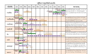 ปฏิทินการปลูกพืชผักและเห็ด ศูนย์วิทยบริการเพื่อส่งเสริมการเกษตร สำนักพัฒนาการถ่ายทอดเทคโนโลยี กรมส่งเสริมการเกษตร