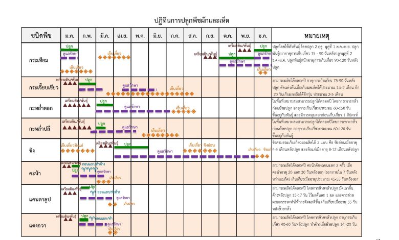 ปฏิทินการปลูกพืชผักและเห็ด ศูนย์วิทยบริการเพื่อส่งเสริมการเกษตร สำนักพัฒนาการถ่ายทอดเทคโนโลยี กรมส่งเสริมการเกษตร