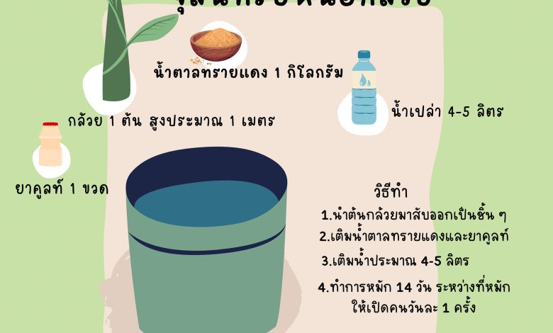 สูตรวิธีทำจุลินทรีย์หน่อกล้วย